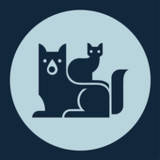 InfoCura_playmods.net
