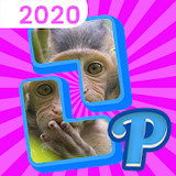 Pieces(Unlimited money)2.1.0_playmods.net
