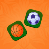 Sport Connection_playmods.net