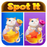 Can You Spot The Differences_playmods.net