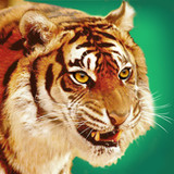 Talking Tiger_playmods.net