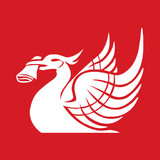 Liverpool Echo_playmods.net