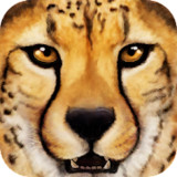 Ultimate Savanna Simulator(mod)1.1_playmods.net
