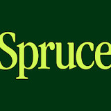 Spruce Mobile banking_playmods.net